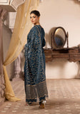 DHOLKI TEAL
