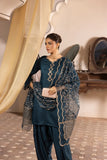 DHOLKI TEAL