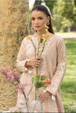 IMAGE KARI BLUSH