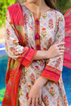 RAFIA 230