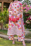 RAFIA 231
