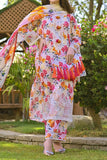 RAFIA 231