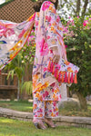 RAFIA 231